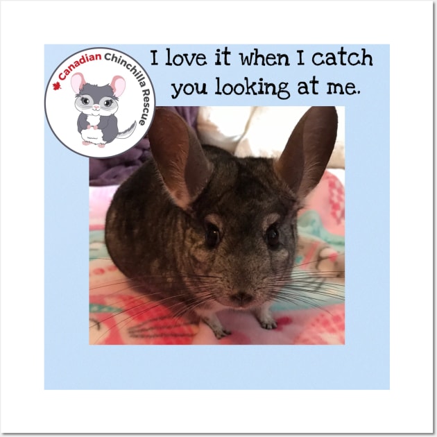 Chinchilla Love Wall Art by canchinrescue